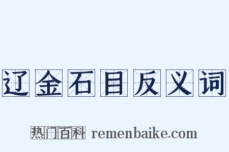 辽金石目反义词是什么意思的图片